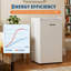 Hobbylane Freestanding Mini Fridge