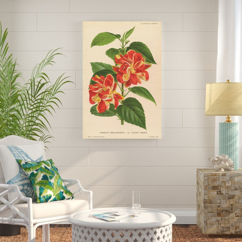 Hibiscus par Wild Apple Portfolio - impression sur toile tendue, H 48 po x l 32 po