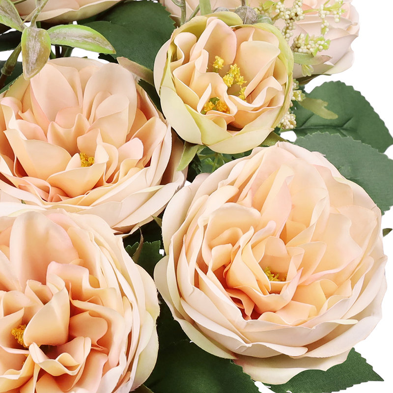Chou rose, Ivoire, rosé
