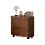 Armoire d'appoint Modern