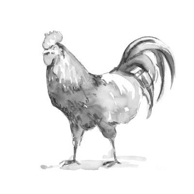 Barn Fowl I by Emma Caroline - Wrapped Canvas Painting