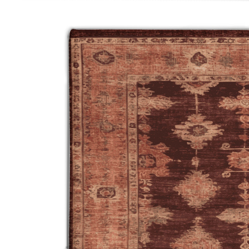 Tapis intérieur et extérieur brun Overdyed, Rectangulaire 2 pi x 3 pi
