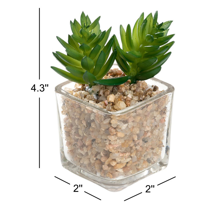 Ensemble de 3 plantes grasses artificielles en pot
