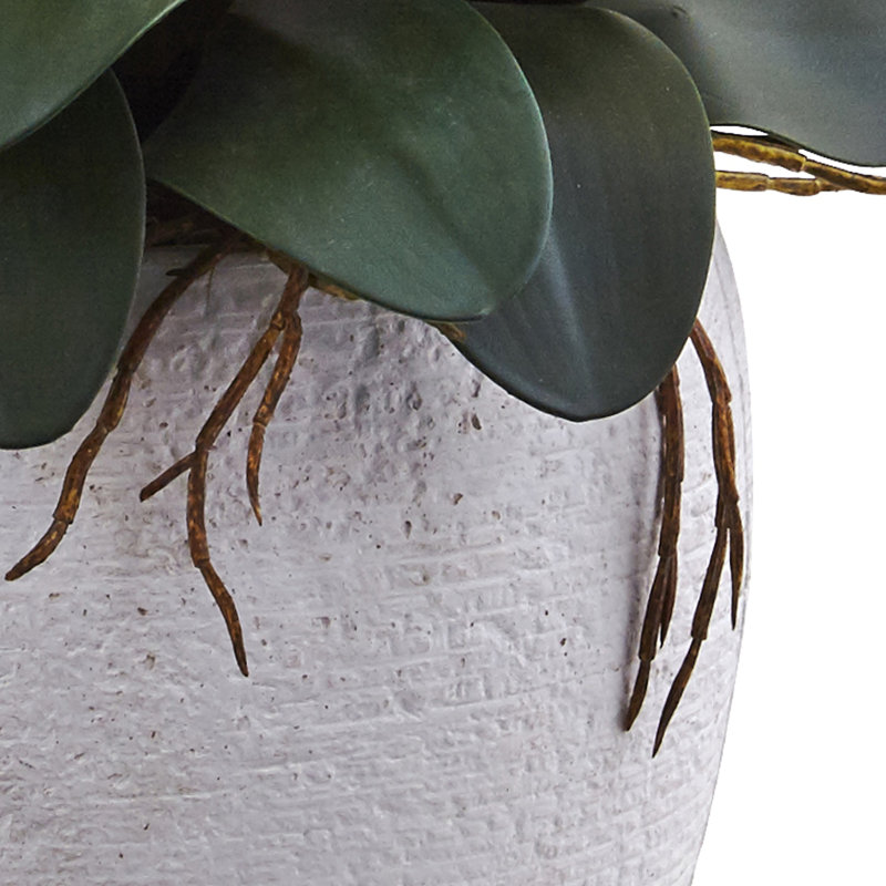 Arrangements floraux Candice Orchids en pot, Jaune
