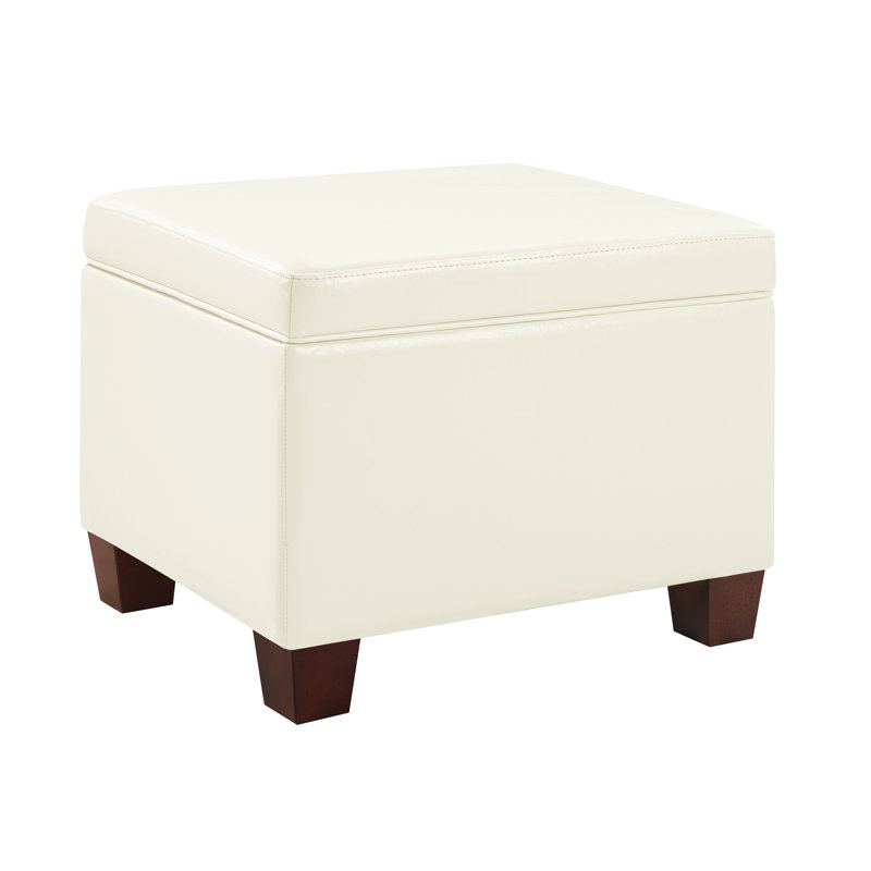 Akifa 21.50" Wide Leather Rectangle Storage Ottoman, Akifa Ivory Vegan Leather