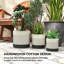 Pot Planter