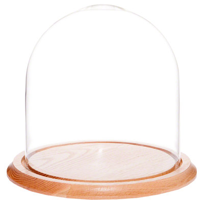Vucciria 9.75" x 10" Glass Display Dome Cloche