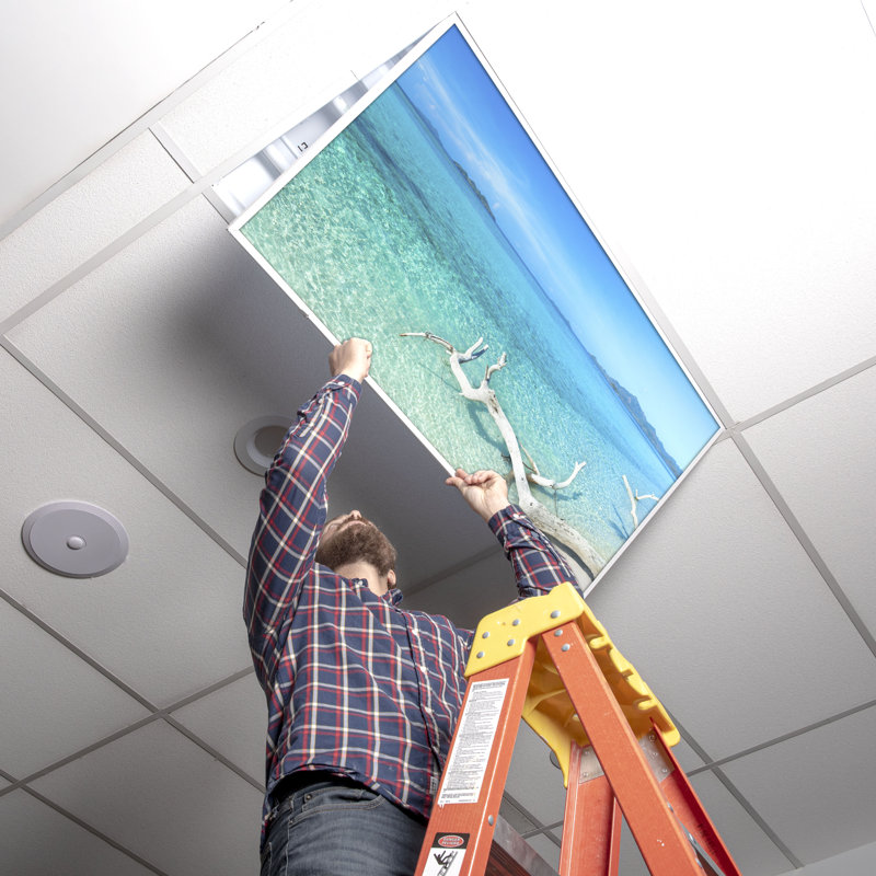 Housses pour lampes de plafond Beach Classroom Fluorescent - pour luminaire 2 x 4 - par Octo Lights