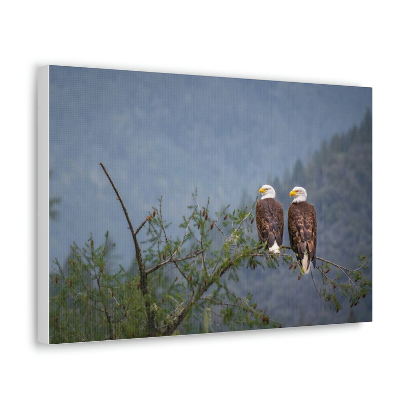 Couple de pygargue à tête blanche sur un arbre, reproduction d'art mural, 12" H x 18" W