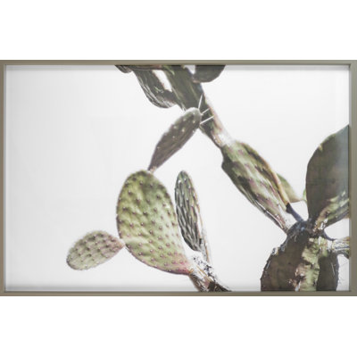 Az Botanical 40 Print by Chris Dunker