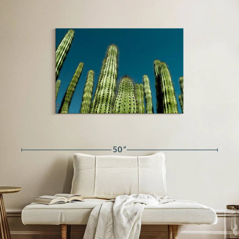 Cactus bleu ciel Harnek, H 26 po x l 39 po