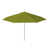 Ginkgo