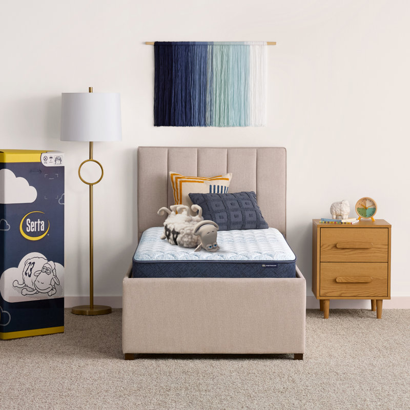 Sleep To Go Firm 6" Mattress in a Box, Twin