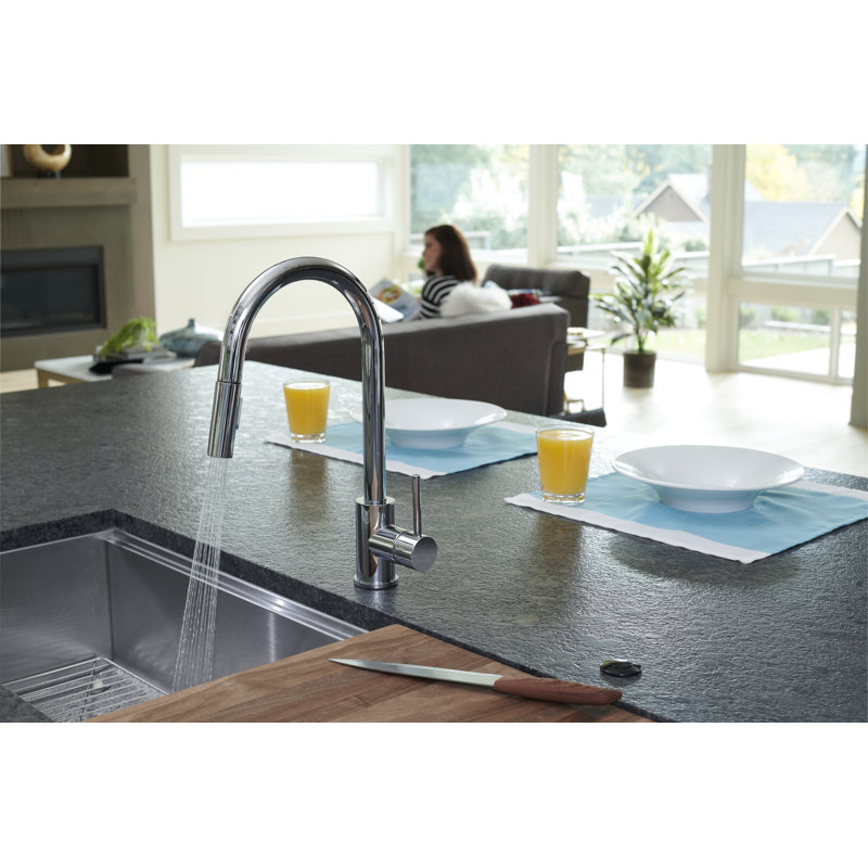 Pacific Bay Bellevue Pull Down Kitchen Faucet