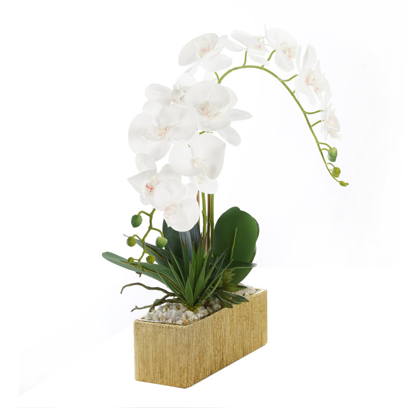 Real Touch White Phalenophsis Orchids Flower Arrangement in Planter