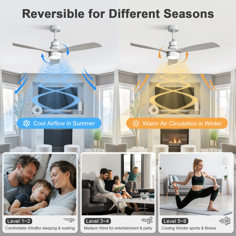 Nicola 52'' 3 - Blade Modern Ceiling Fan with Remote Control and Light Kit, Silver/Gray