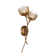 Protea 2-Light Wall Sconce in Manchester by Breegan Jane
