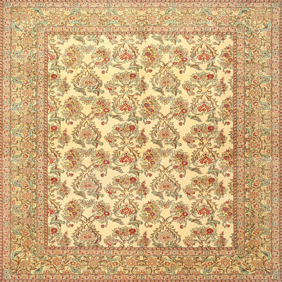 Chandni Oriental Indoor Rug