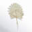 Welham Dried Plant Vase Filler