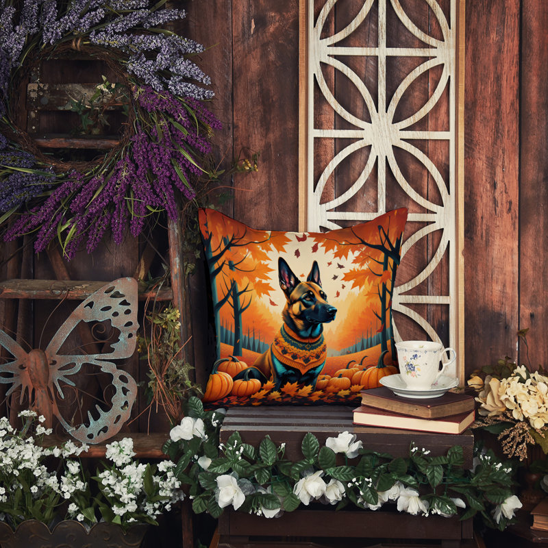 Other/No Pattern Outdoor Throw Pillow, Square 14"
