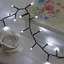 LED Indoor / Outdoor String Lights-1408906588-1408906407