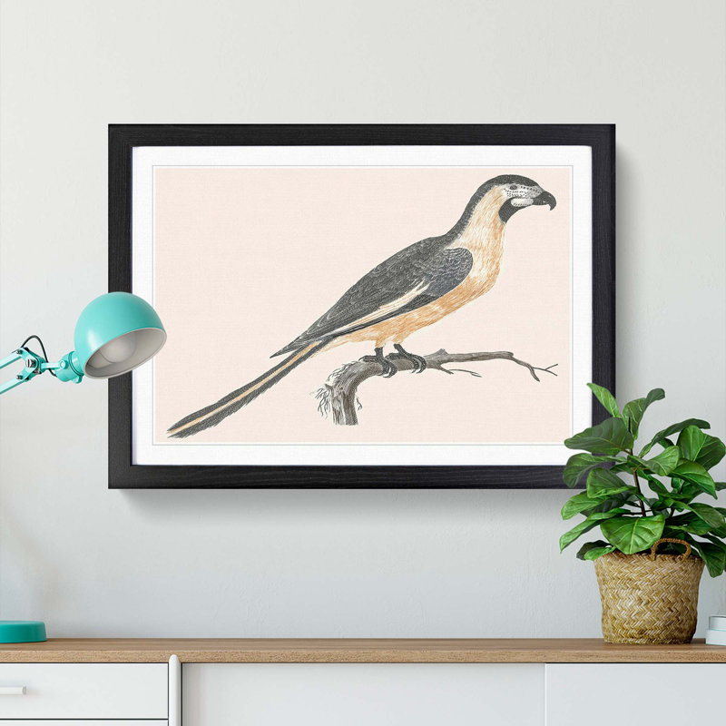 Parrot by Johan Teyler - Picture Frame Painting Print, 48cm H x 65cm W x 2cm D, Black Framed