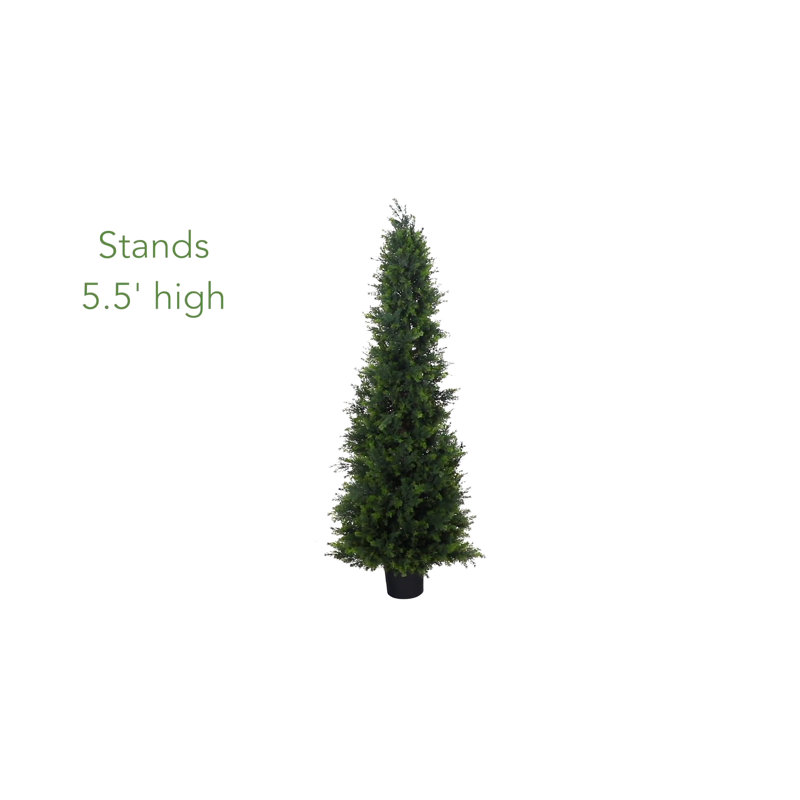 5.5' Green Plastic Cypress Cone Topiary Artificial Tree