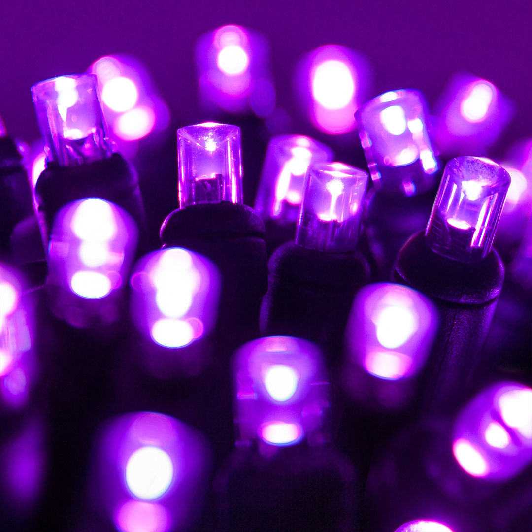Halloween 70 Light LED String Light The Holiday Aisle® Color: Purple