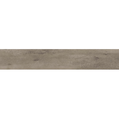 Explorer™ 13'' L x 3'' W Porcelain Bullnose Tile Trim
