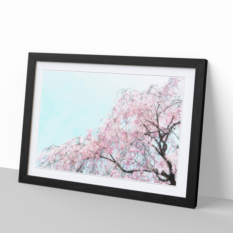 Pretty Pink Cherry Blossom Tree - Picture Frame Graphic Art, 48cm H x 65cm W x 2cm D, Black Framed