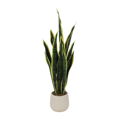 Faux Plant