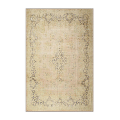 Cateluta Oriental Indoor Rug