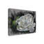 Adelphi Demure - impression sur toile tendue-26109531