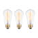 Lyle 60 Watt ST64 E26/Medium (Standard) Dimmable Incandescent Bulb
