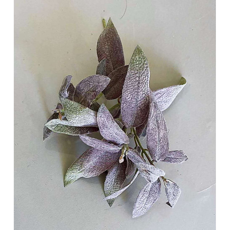-4 POT DE SAUGE POURPRE, Purple