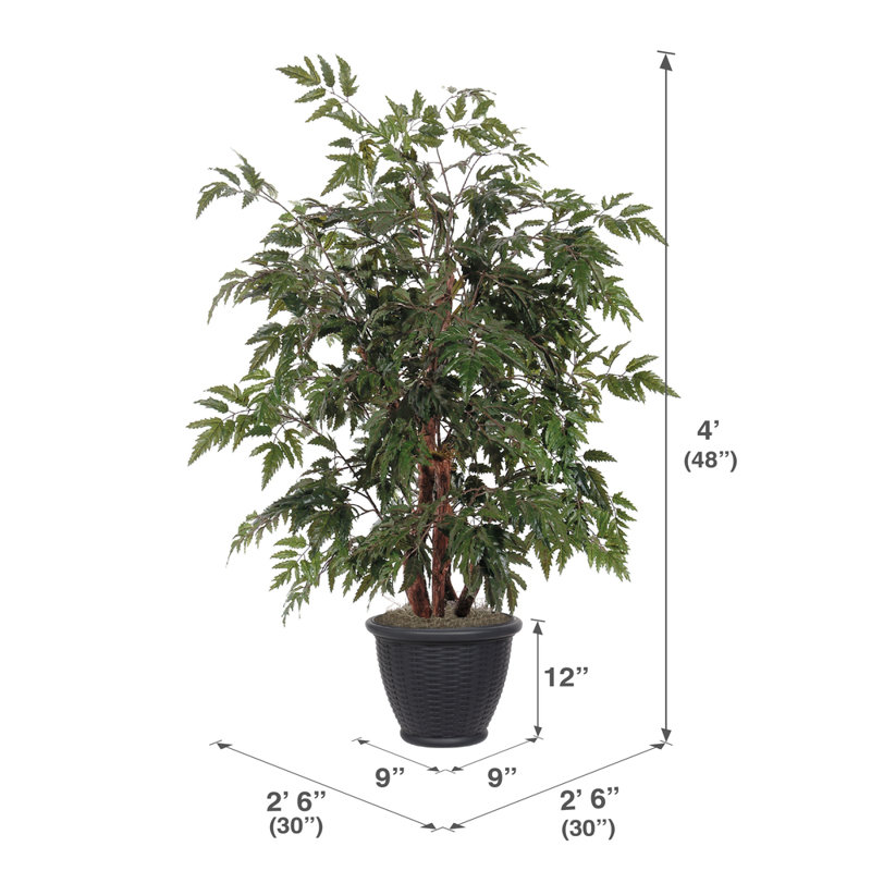 Artificial Ming Aralia Bush, Gray
