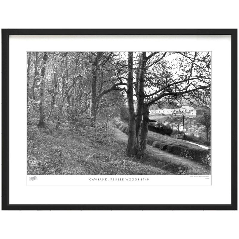 Cawsand, Penlee Woods 1949 - Single Picture Frame Print, 60cm H x 80cm W x 2.3cm D