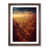 Walnut Framed