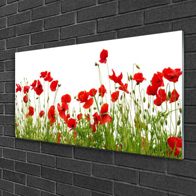 Nature Meadow Poppies 1 Piece Wall Art on Glass