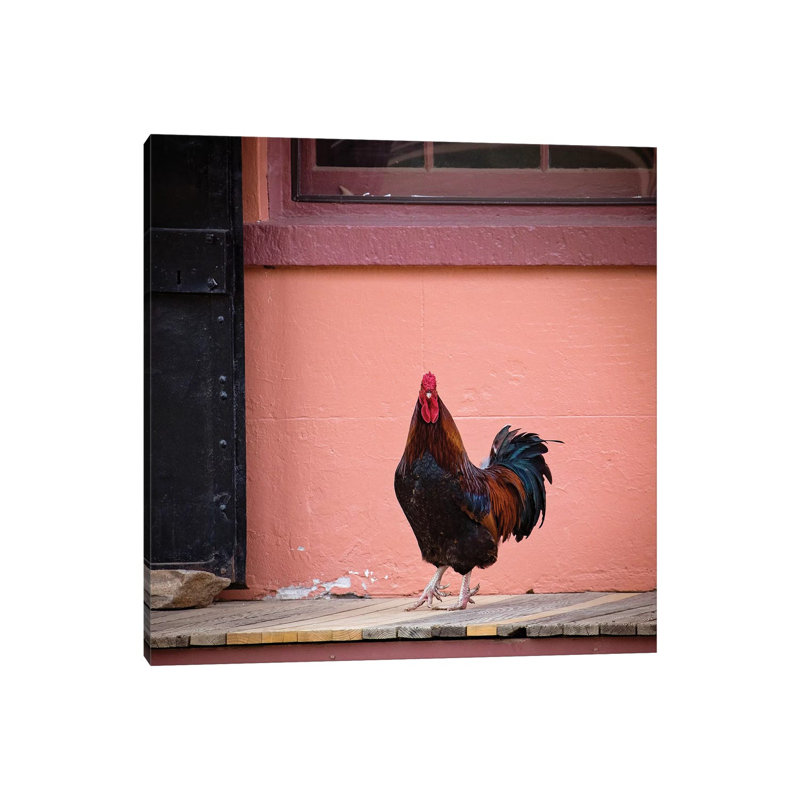 Rooster Portrait by Karen Burke - Wrapped Canvas Print, 66.04 cm H x 66.04 cm W