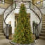 The Holiday Aisle® Tiffany Fir Slim Tree with Clear Lights-558889940
