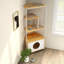 Mobilier d'intérieur pour chat: tour avec poste d'alimentation et poteau à griffer - pied blanc + chêne, pratique et stable, poste peu encombrant, arbre multifonctionnel efficace pour les chats