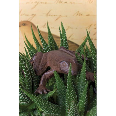 Statue de grenouille Fentress