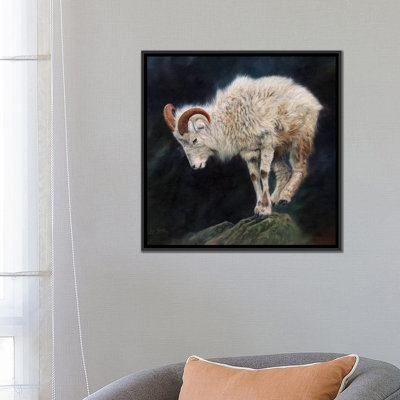 « mountain chèvre ii », reproduction d’impression sur toile