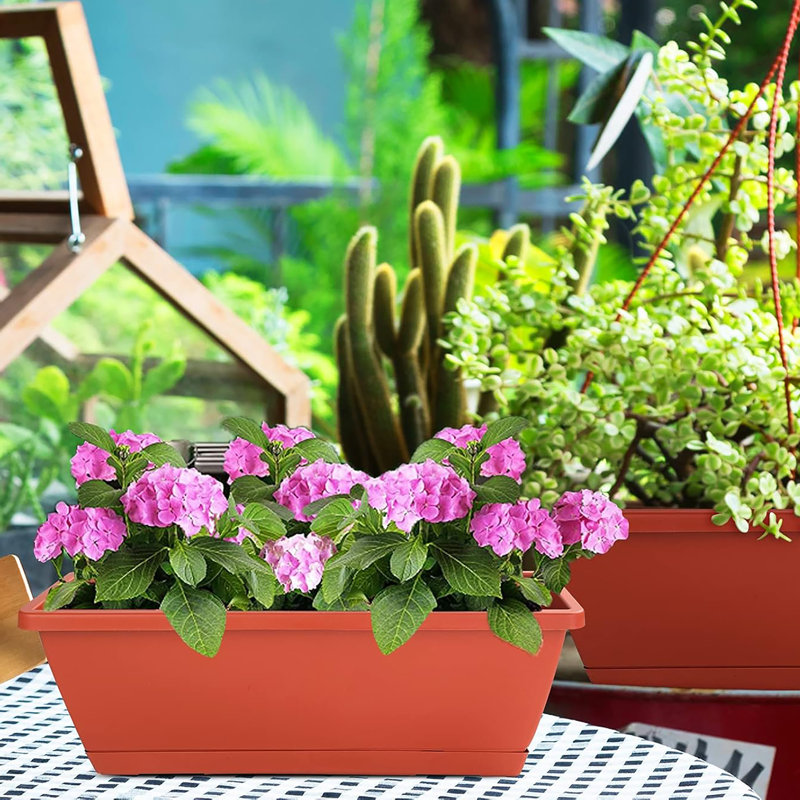 10 Pack 17 Inch Rectangular Plastic Window Box Planters with Saucers for Indoor & Outdoor Gardens, Patios, and Home Decor