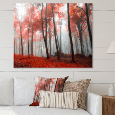 Foggy Morning Red Forest " Foggy Morning Red Forest " Painting Print
