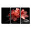 Rose rose noir rhododendron minuit II - ensemble d'art mural rhododendron-107196616-107196617