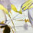 Khora - Single Picture Frame Print on Canvas