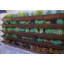 Jardin vertical suspendu en bois à 5 niveaux