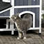 Abri pour chat extérieur - Toit et lit de jardin à entrées multiples pour chats lourds de 15 lb et plus, gris avec intempéries